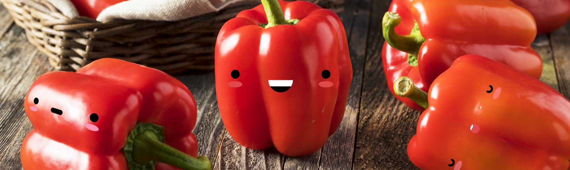 嘉義縣溪口鄉農會