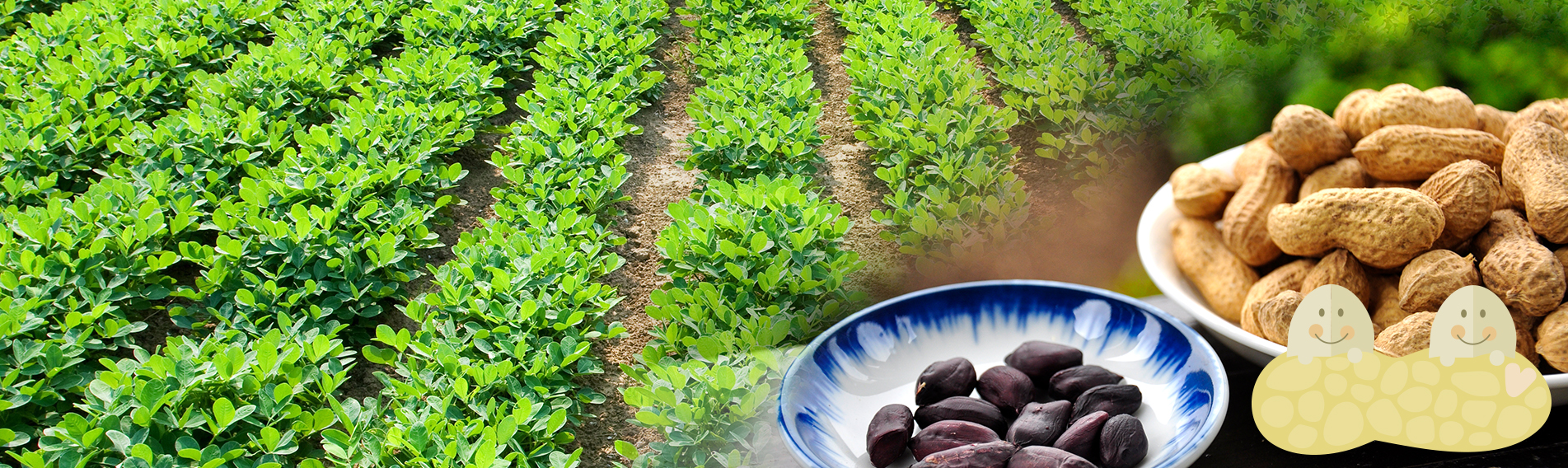 嘉義縣溪口鄉農會